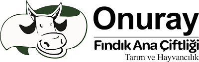 Onur-Ay